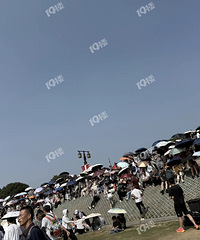 �����۳���ɽ�˺������˾�Ȼ��������ۡ��������λ����