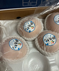 ���ڵ�������ô��