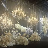 87������30��ʿ