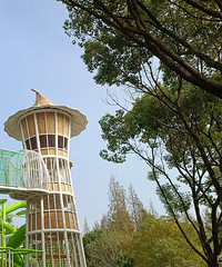 �������Ŀ�ɭ����ܲ������˲���ܶ� ���ٲ�ӵ��