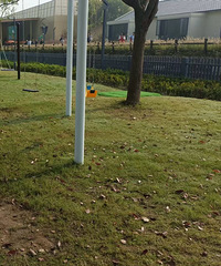 �������Ŀ�ɭ����ܲ������˲���ܶ� ���ٲ�ӵ��