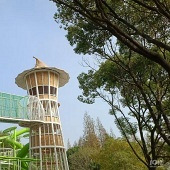 ��ɭ���仹����