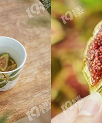 �����ʹ����� ��֬��������С��ʳ~