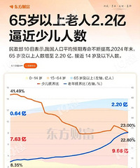 �������ƽ��ٶ��� ���й��˿ڽṹ��ӭ������ʷ�Խ��桱