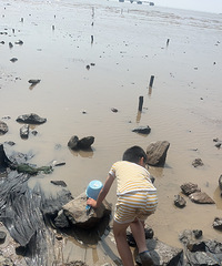 ȥƽ������ɽץ�з ����Ŀ����� ����ϲ������һ����