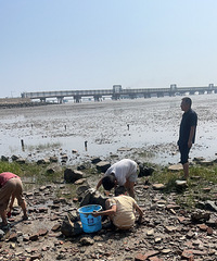 ƽ������ɽץ�з