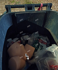 ʱ��10�죬���������ϲ�£��ѡ�Ů���ѡ�������Ͱ��