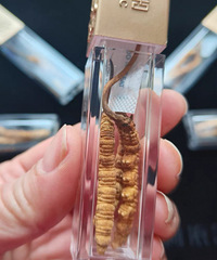 ��֪����������ӵ�Ӱ�컹�������Ӱ�� ��ʼ��Ҫ��������