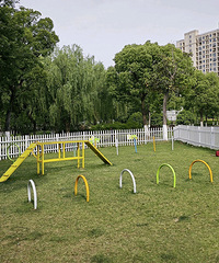 ���������������ع�԰�������Ƕ�ͯ�Ѻó��У�