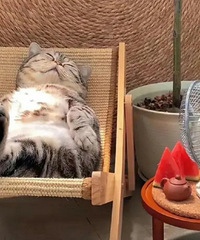 ֻҪδ��5���㲻�򷿣��й�����ȫ������õĵط�֮һ��