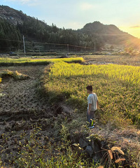 �ڱ��Ʒ��·�ϣ������Լ�Ҫ���� �����Ѳ��ܿ��Ƶغݺݵش�����