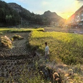 �ڱ��Ʒ��·��