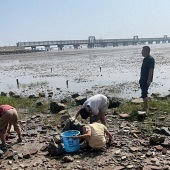 ƽ������ɽץ�з