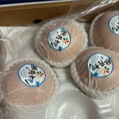 ���ڵ�������ô��