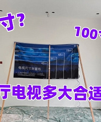 85��vs100�磡���Ӵ�Ҷ�����ģ�