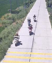 ��ƽ����Ůһ������԰�0Ԫ������������ץס������5-7�첻��