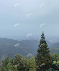 �����޳�����С����ͬһʱ�������������ͷ�������������ϡ�