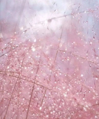 ����Ƭ����������ġ����컨���������ߣ�