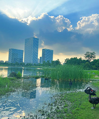 ������һ�£�����Աߵ���զ�����ߵ����Ϻó�����