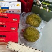 ���������޴��������