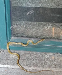 ����̫���ˣ�������������С���������߳�û��