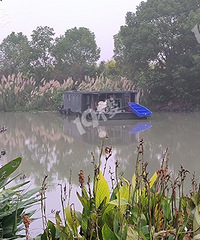 ���������������ش�ֻ ��˵������ʮ������ŮŮ������ʲô��Ŀ��