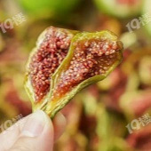 ���κ����ӵ��޻�����