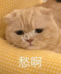 ���������ϲ�Ա�����Ѹп�����֪�����򷿣�