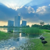 ������Ϊɶ��ô����