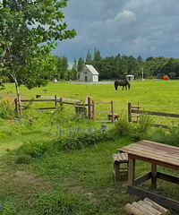 �����Լ��İ���̩ ������ˬ��ʱ��ǳ��ʺ�����