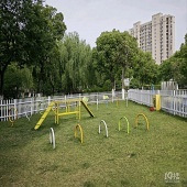 �����ļ������ع�԰