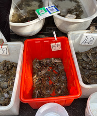 ��������Ĵ�բз���Ƕ��������𣿣��������ڼ۸񻹺ܲ��Ѻð�