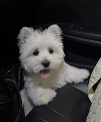 �Ը����� ���ﾭ�̣�92��Ů���Ҷ���