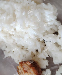 ���ˣ����ķ������Գ���ë���������Ǳ��������ڱ�����