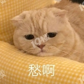 ���������ϲ�Ա...