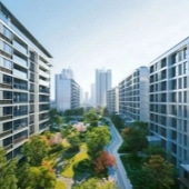 ��巸���������