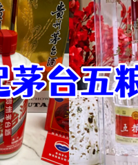 ��ͨ��ͥ�����ʲô�ƣ�