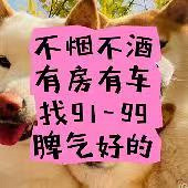 95�걾�ظ�ЦŮ����