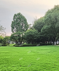 �ؿ����ز��Ի���Ҳ��10-15�� �ȴ��˽���ȴҪ����һ����