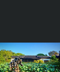 �����С������԰����ʶ����һ��һǧ����곤��������