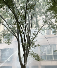 �ƶ���Ԣͻ�����֣�2¥Ũ�̷������ð��������һʱ��ϵ���