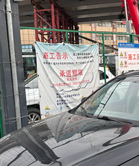 ��԰·���Ŷ���·11�³���ͨ�������°�����Ķ¡�