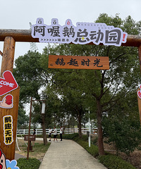 ������ط�����ͦ���� �տ���¶Ӫ������...���ܿ�����