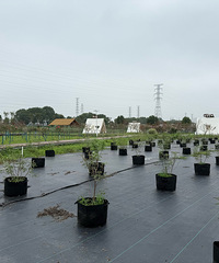 ������ط�����ͦ���� �տ���¶Ӫ������...���ܿ�����