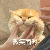 楼市又出新梗了!