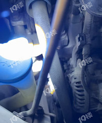 �����˿���ǰһ��Ҫ��飡������·�ŷ��� ���������ֻè��