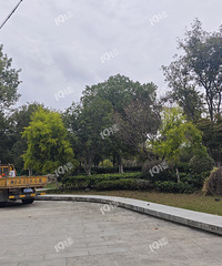 ��ܰ��԰Ϊʲô�����ޣ������Ǹ�С��԰�� �Ź����ɡ�