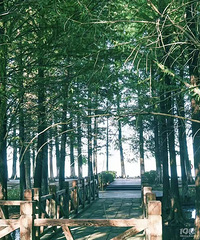 ���˰���ɽ��ˮ��ɭ�� ����Ǯ�Ŀ��֣�