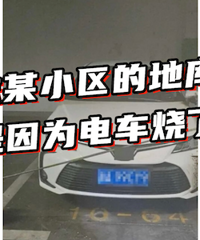 �����ͳ����Ⲩ����