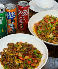 [ʳ]ÿ춼ųͩݲе㶫